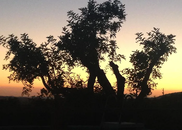 Boutique Bed And Breakfast - Casa Esteval